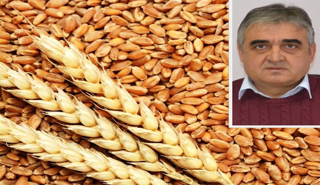 “Buğday kalitesinde düşüşe neden oldu”