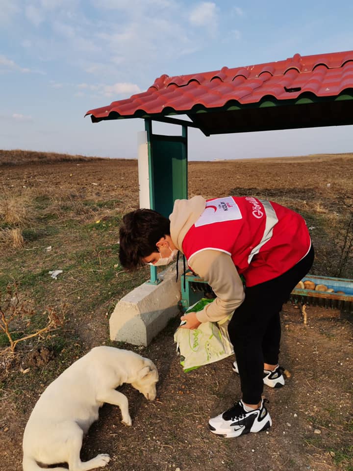 Türk Kızılayı ve gönüllüler sokak hayvanlarını unutmadı
