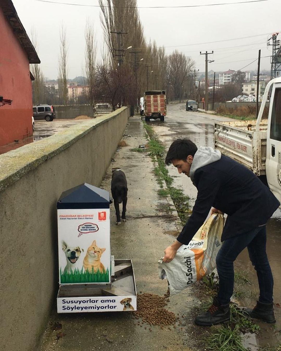Sokaktaki can dostlar unutulmadı
