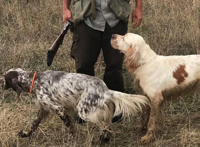 Av dönemi 21 Ağustos’ta başlayacak