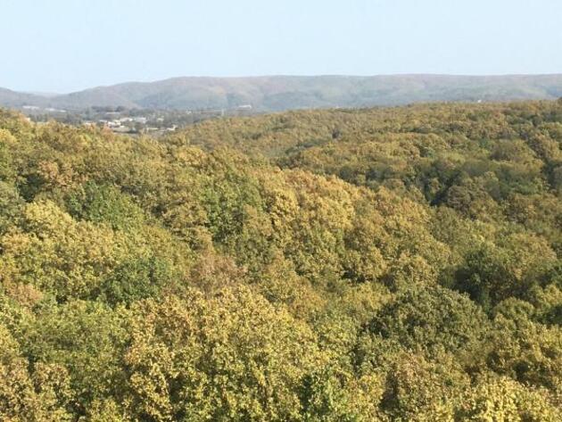 Kırklareli'nde ormanlara giriş yasaklandı