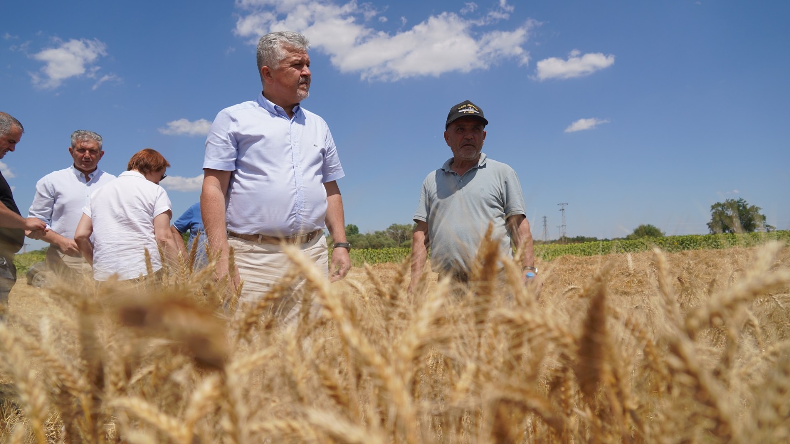 Başkan Gerenli’den buğday hasadı!