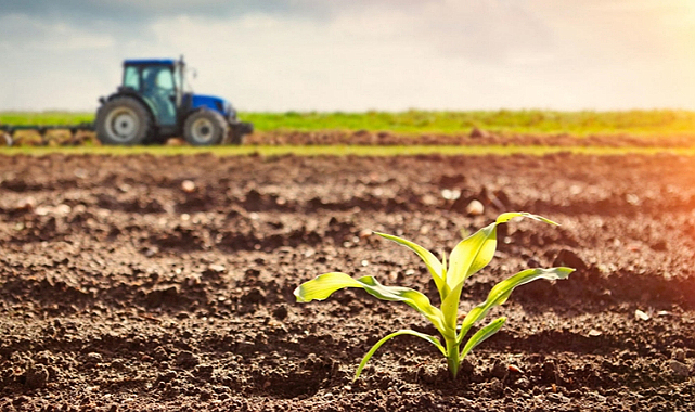 Tarım GFE Yıllık %40,97 Arttı