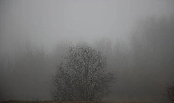 Tekirdağ'da Sis Nedeniyle Ulaşım Zorluğu