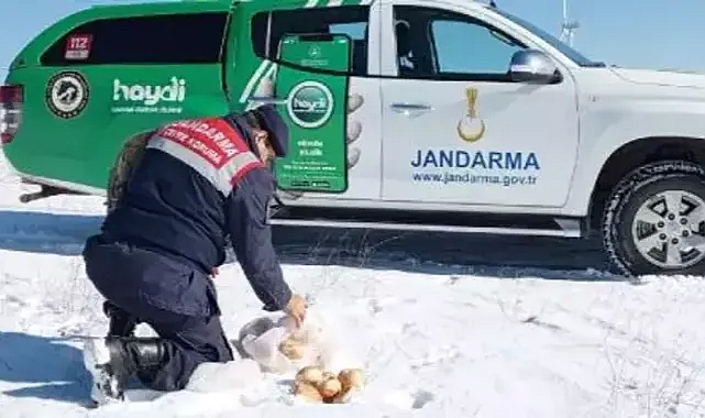 Edirne’de yaban hayvanları için yem ve su bırakıldı