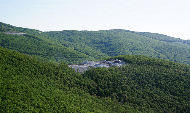 Yaban Hayatının Geleceğine Yönelik Uyarı!