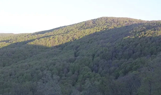 Doğa Tutkunlarının Vazgeçilmez Adresi: Istrancalar'da Baharın Keyfi