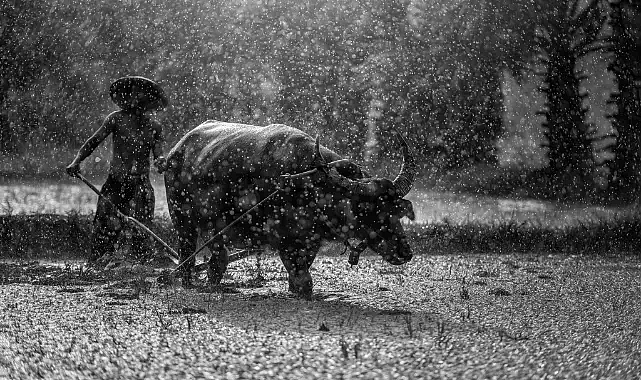 Emek ve Dayanışma Günü 1 Mayıs'ın Anlamı, Tarihi Kökeni ve Değeri!