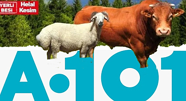 Kırklareli A101'de Kurbanlık Satışları Başladı: Üstelik Bütçe Dostu Fiyatlarla!