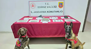 Edirne’de 500 gram skunk ele geçirildi 