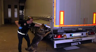 Kapıkule'de TIR'da 370 kilo esrar ele geçirildi 