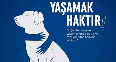 Kırklareli ÇYDD Sokak Hayvanları için Ses Verdi