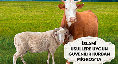 Kırklareli Migros'ta İslami Kesim Garantili Kurbanlar: Hijyenik ve Güvenilir!