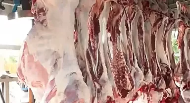 Kurban Kesiminde Nelere Dikkat Edilmeli?