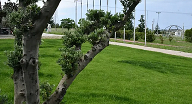 Lüleburgaz'ın Geleceği İçin Sürdürülebilir Adımlar!