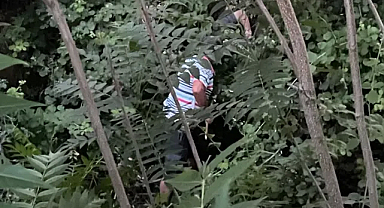 Babaeski'de Dereye Düşen Vatandaş Kurtarıldı