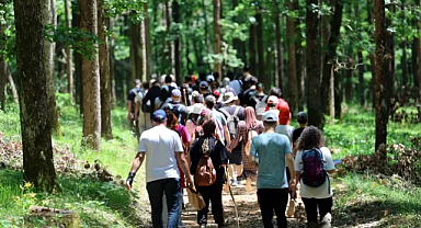 Çerkezköy'de Doğa ile Buluşma: 8 Kilometrelik Keyifli Yürüyüş 
