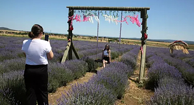 Edirne’de mor renkli lavanta tarlalarında ziyaretçi yoğunluğu 