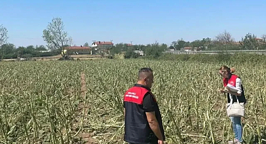 Kırklareli İl Tarım ve Orman Müdürlüğü, Dolu Sonrası Çiftçilerin Yanında! 