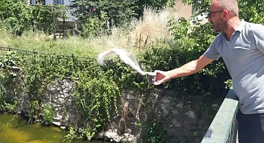 Kırklareli'nde İnci Dere ve İnşaat Bölgeleri İlaçlanıyor 