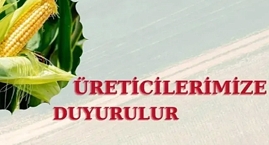 Kırklareli TMO Hububat Alım Randevuları 12 Haziran'da Başlıyor 