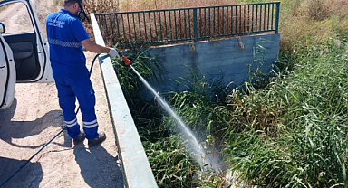 Lüleburgaz'da Bayram Tatilinde Zararlılarla Mücadele Hız Kesmiyor