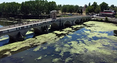Tunca Nehri'nde debi bir ayda yarı yarıya düştü, yüzeyi yosunla kaplandı