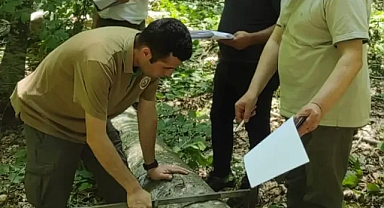 Vize Orman İşletme Müdürlüğü'nde Kapsamlı Denetim