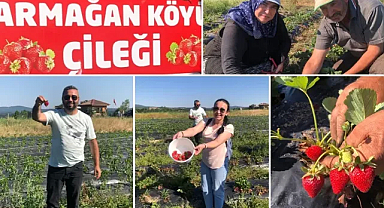 Armağan Köyü: Doğayla Bütünleşmiş Bir Çilek Cenneti