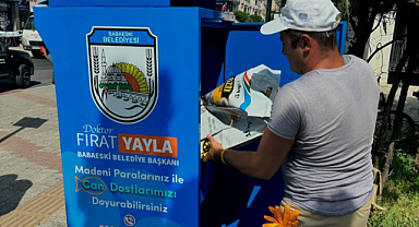 Babaeski Belediyesi'nden Hayvan Dostlarına Büyük Hizmet: Mamamatikler İlçeye Renk Katıyor