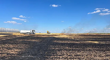 Babaeski'de Yangın Paniği: 100 Dönümlük Alan Kül Oldu