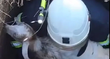 Babaeski İtfaiyesi, Kuyuya Düşen Kuzu İçin Seferber Oldu