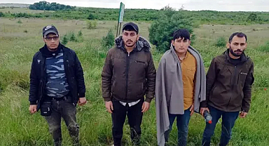 Edirne'de 4 kaçak göçmen yakalandı