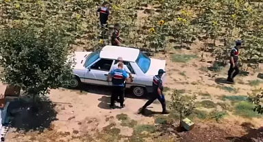 Hazine arazisine Hint keneviri eken şüpheli yakalandı