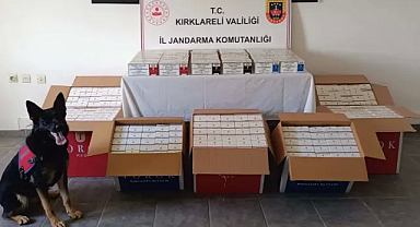 Kırklareli’nde Binlerce Makaron ve Elektronik Sigara Makinası Ele Geçirildi 