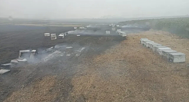 Kırklareli'nin Mutlu Köyü'nde Korkutan Yangın