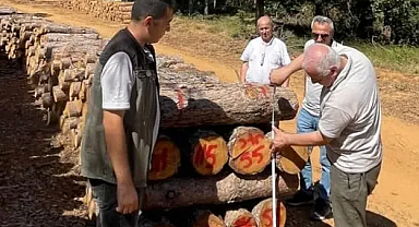 Orman Denetimleri Hız Kesmeden Devam Ediyor
