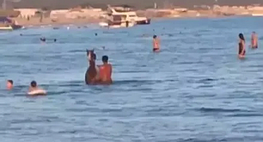 Serinlemek için atıyla birlikte denize girdi, o anlar kamerada