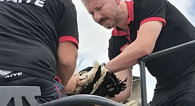 Tabiatın Dengesi için Çağrı: Lüleburgaz İtfaiye Ekipleri Leyleği Kurtardı 