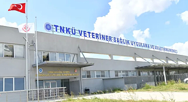 Tekirdağ Valisi Recep SOYTÜRK, Tekirdağ NKÜ Veteriner Sağlık, Uygulama ve Araştırma Merkezi’ni Ziyaret Etti 
