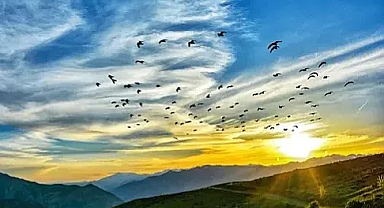 Trakya'da Hava Durumu (10 Temmuz 2024)