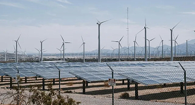 TUİK Haziran 2024 Verilerini Açıkladı