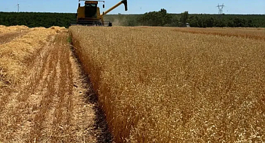 Vize'de Yerli Arpa ve Yulaf Hasadı Tamamlandı 