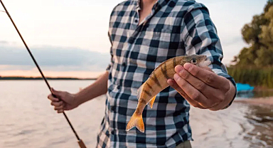 Ağustos Ayında Balık Tutma Rehberi: Denizde Hangi Balıkları Yakalayabilirsiniz?