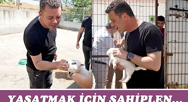 Başkan Sarıkurt´tan Sokak Hayvanları Hakkında Önemli Açıklama