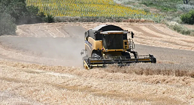 Buğdayda Dönüm Başına 640 Kilogram Rekolte: Lüleburgaz’da Tarımsal Başarı!