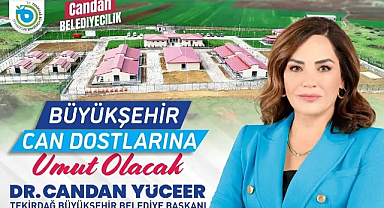 BÜYÜKŞEHİR CAN DOSTLARINA UMUT OLACAK
