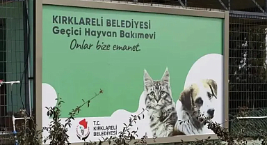 Can Dostlar Sahiplendiriliyor; Kulübe Belediye'den Hediye