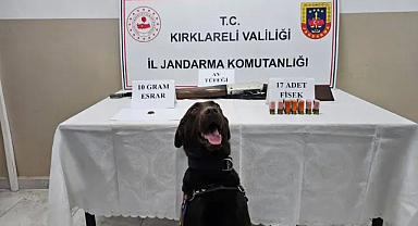 İğneada'da 10 Gram Esrar ve 1 Av Tüfeği Ele Geçirildi!
