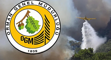 İstanbul Orman Bölge Müdürlüğünden Orman Yangınları İçin Kritik Uyarı